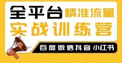 全平台精准流量实战训练营，百度微信抖音小红书SEO引流教程-萤火网创