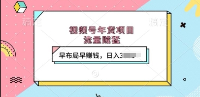 视频号年货项目，流量贼猛，早布局早挣钱，日入上k【揭秘】-萤火网创