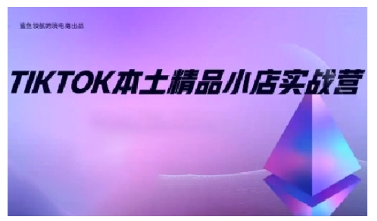 TikTok本土精品小店出海实战营，从入门到高阶，不止0-1!-萤火网创