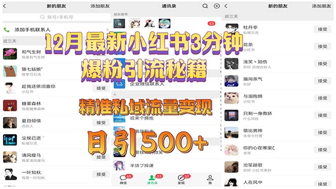 12月最新小红书3分钟爆粉引流秘籍 精准私域流量变现 日引500+-萤火网创