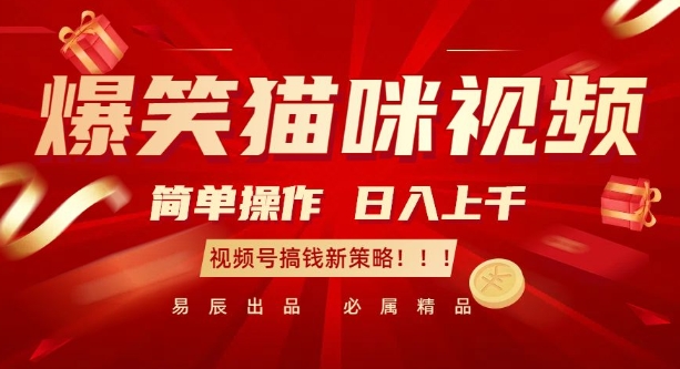 爆笑猫咪视频：简单操作，日入过K，视频号搞钱新策略【揭秘】-萤火网创