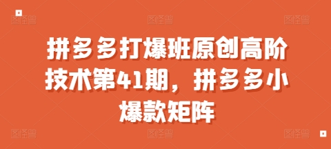 拼多多打爆班原创高阶技术第41期，拼多多小爆款矩阵-萤火网创