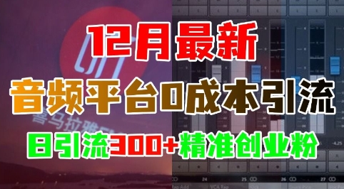 12月最新：音频平台0成本引流，日引流300+精准创业粉-萤火网创