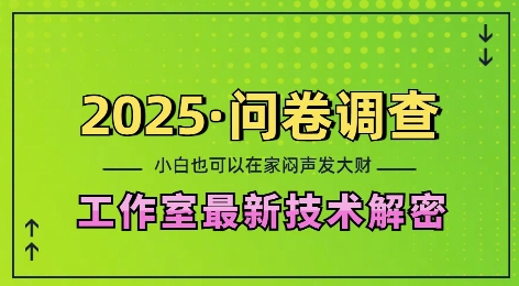 2025问卷调查最新工作室技术解密：一个人在家也可以闷声发大财，小白一天2张，可矩阵放大【揭秘】-萤火网创