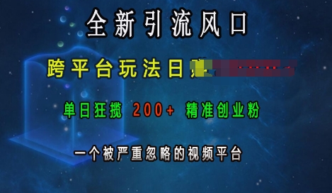 全新引流风口，跨平台玩法日入上k，单日狂揽200+精准创业粉，一个被严重忽略的视频平台-萤火网创