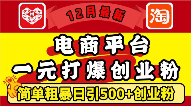 12月最新：电商平台1元打爆创业粉，简单粗暴日引500+精准创业粉，轻松月入过W【揭秘】-萤火网创