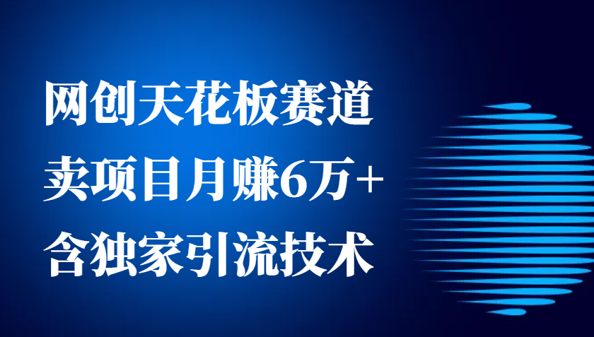 网创天花板赛道，卖项目月赚6万+，含独家引流技术(共26节课)-萤火网创