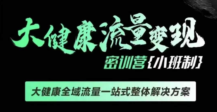 千万级大健康变现课线下课，大健康全域流量一站式整体解决方案-萤火网创