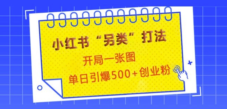 小红书“另类”打法，开局一张图，单日引爆500+精准创业粉【揭秘】-萤火网创