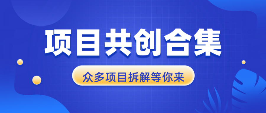 项目共创合集，从0-1全过程拆解，让你迅速找到适合自已的项目-萤火网创