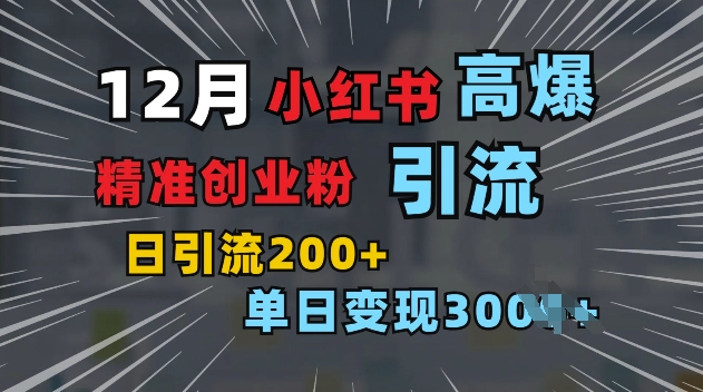 小红书一张图片“引爆”创业粉，单日+200+精准创业粉 可筛选付费意识创业粉【揭秘】-萤火网创