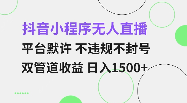 抖音小程序无人直播 平台默许 不违规不封号 双管道收益 日入多张 小白也能轻松操作【仅揭秘】-萤火网创