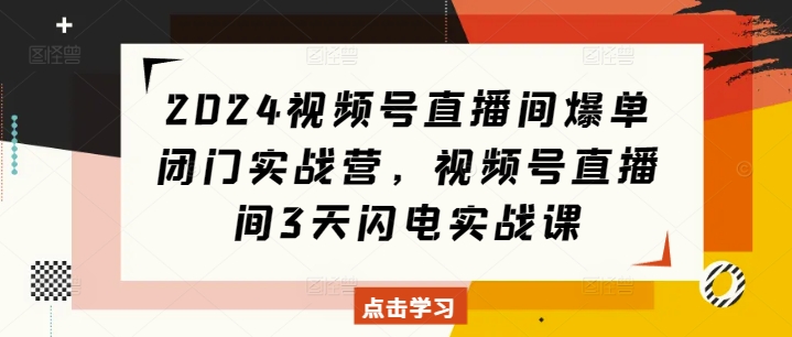 2024视频号直播间爆单闭门实战营，视频号直播间3天闪电实战课-萤火网创