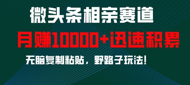 微头条相亲赛道，迅速积累，无脑复制粘贴，野路子玩法，月入1w-萤火网创