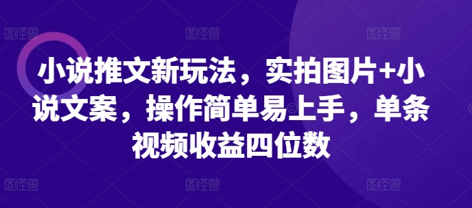 小说推文新玩法，实拍图片+小说文案，操作简单易上手，单条视频收益四位数-萤火网创