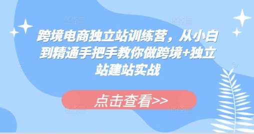 跨境电商独立站训练营，从小白到精通手把手教你做跨境+独立站建站实战-萤火网创