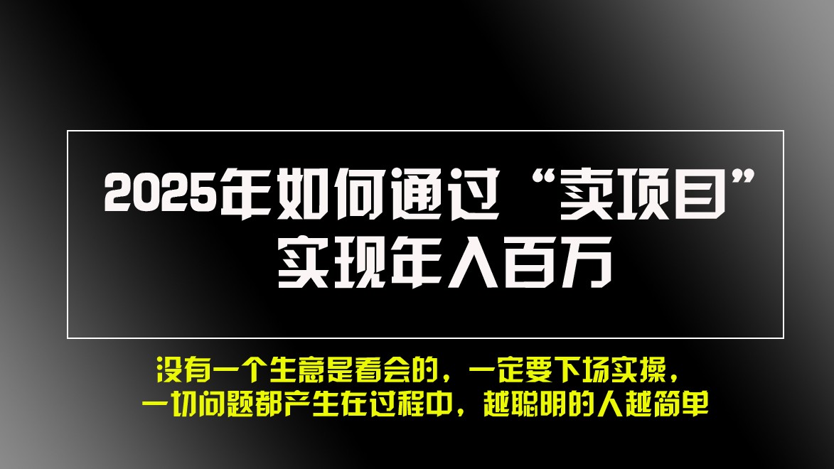 2025年如何通过“卖项目”实现年入百万-萤火网创