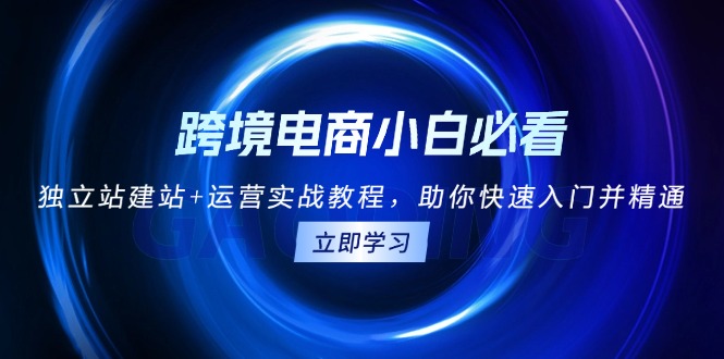 跨境电商小白必看！独立站建站+运营实战教程，助你快速入门并精通-萤火网创