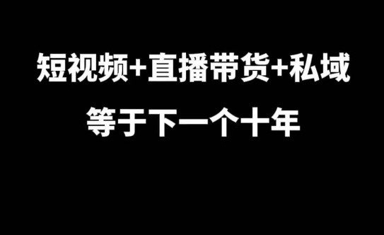 短视频+直播带货+私域等于下一个十年，大佬7年实战经验总结-萤火网创