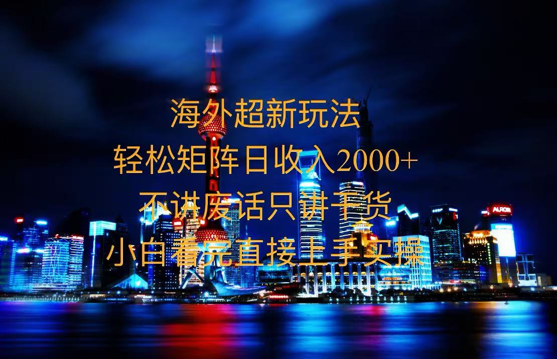 2025全新海外暴力玩法，操作简单，小白轻松上手-萤火网创