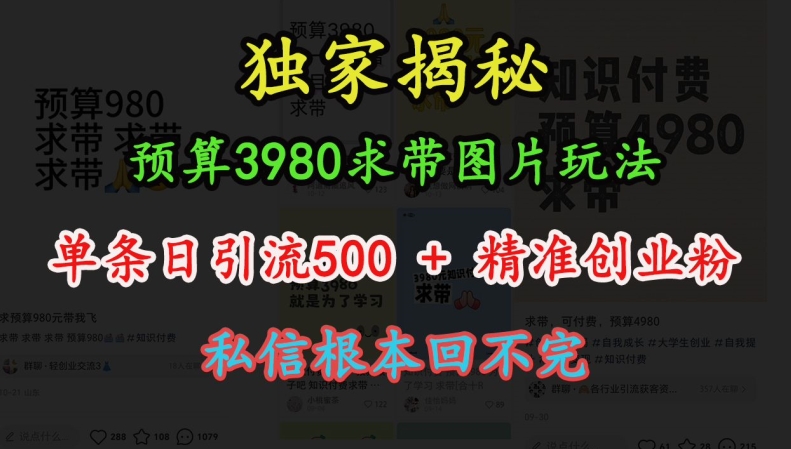 预算3980求带 图片玩法，单条日引流500+精准创业粉，私信根本回不完-萤火网创