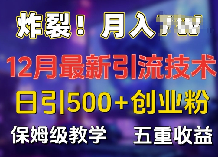 炸裂!揭秘12月最新日引流500+精准创业粉，多重收益保姆级教学-萤火网创