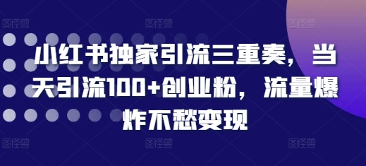 小红书独家引流三重奏，当天引流100+创业粉，流量爆炸不愁变现【揭秘】-萤火网创