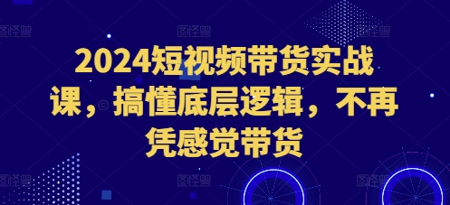 2024短视频带货实战课，搞懂底层逻辑，不再凭感觉带货-萤火网创