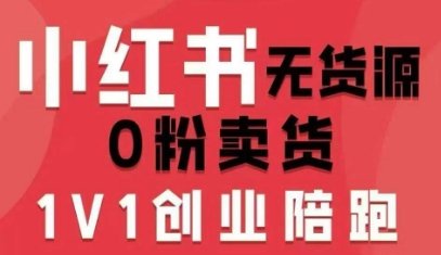 小红书无货源0粉电商课，开店准备、选品策略、笔记撰写、视频剪辑、数据分析、账号打造、资料文档-萤火网创