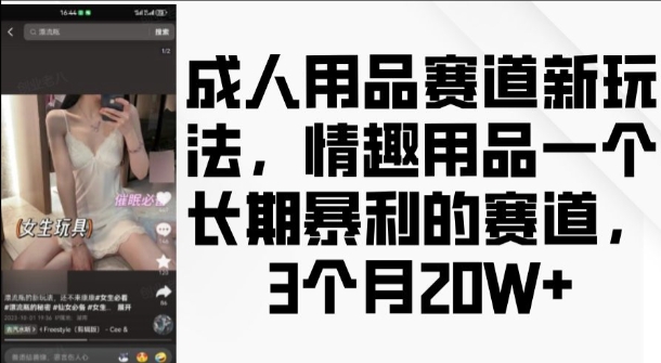 成人用品赛道新玩法，情趣用品一个长期暴利的赛道，3个月收益20个【揭秘】-萤火网创