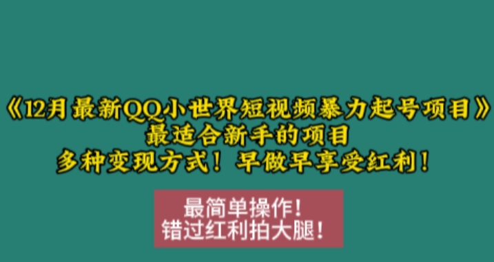 12月最新QQ小世界短视频暴力起号项目，最适合新手的项目，多种变现方式-萤火网创