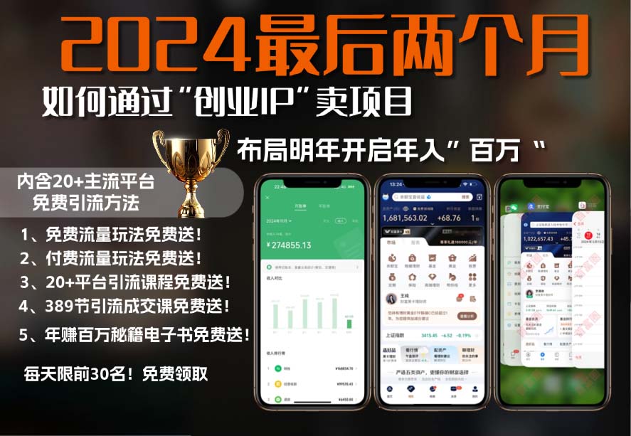 2024最后两个月如何通过”创业IP“卖项目年入”百万“,创业IP+最强引流…-萤火网创