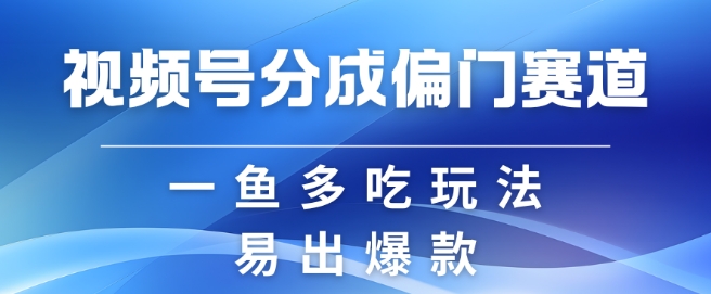 视频号创作者分成计划偏门类目，容易爆流，实拍内容简单易做【揭秘】-萤火网创