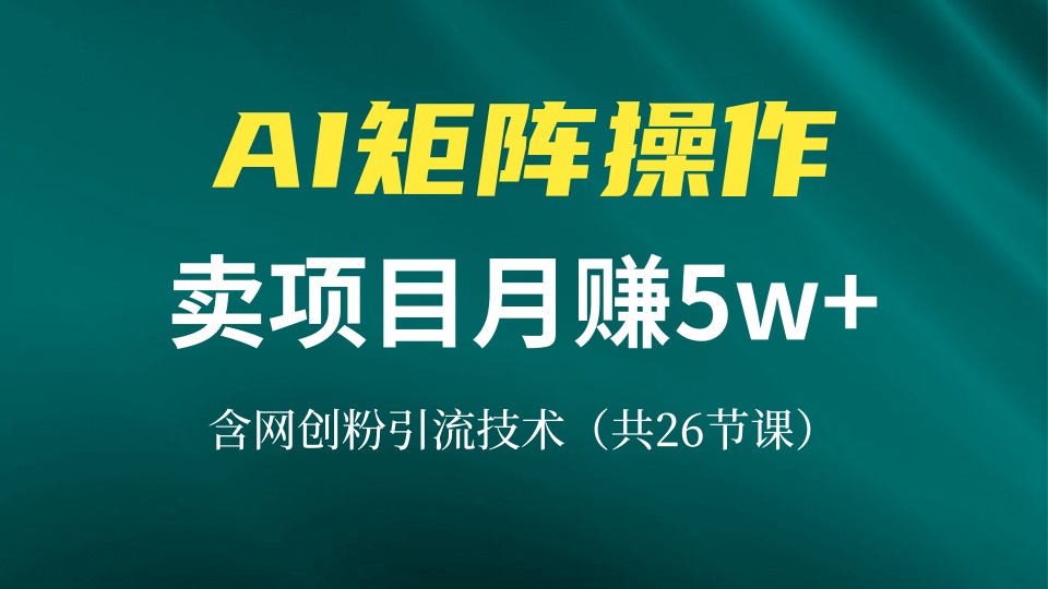 网创IP打造课，借助AI卖项目月赚5万+，含引流技术(共26节课-萤火网创