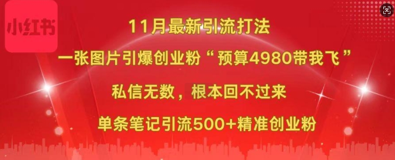 小红书11月最新图片打粉，一张图片引爆创业粉，“预算4980带我飞”，单条引流500+精准创业粉-萤火网创