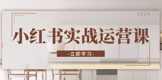 小红书实战运营课：从开通店铺到直播话术，打造爆款笔记与高效直播-萤火网创