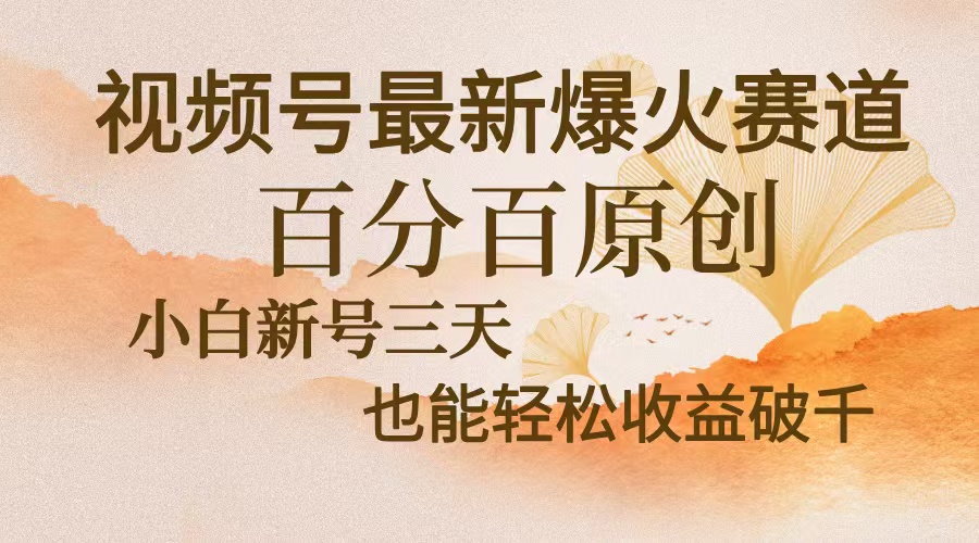 视频号最新爆火赛道，中老年粉深信不疑，百分百原创，新号三天收益轻松…-萤火网创