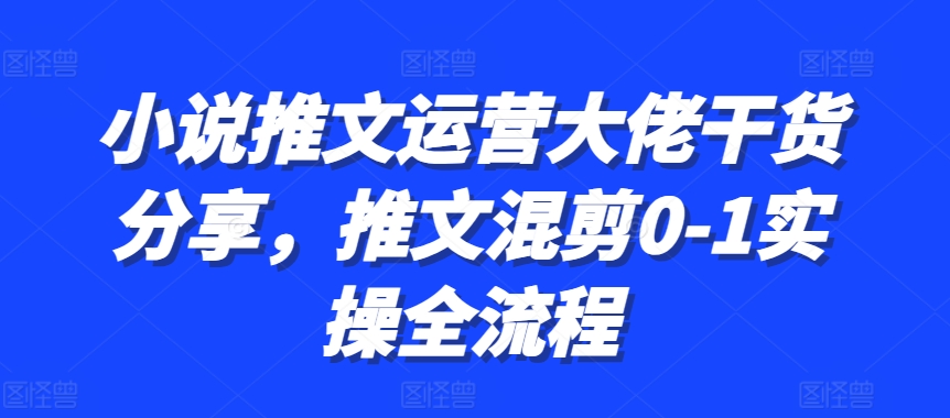 小说推文运营大佬干货分享，推文混剪0-1实操全流程-萤火网创