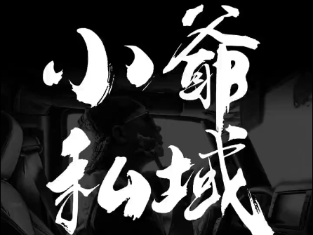 小爷·私域项目操盘手-萤火网创