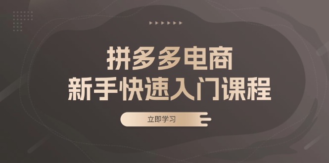 拼多多电商新手快速入门课程：涵盖基础、实战与选款，助力小白轻松上手-萤火网创