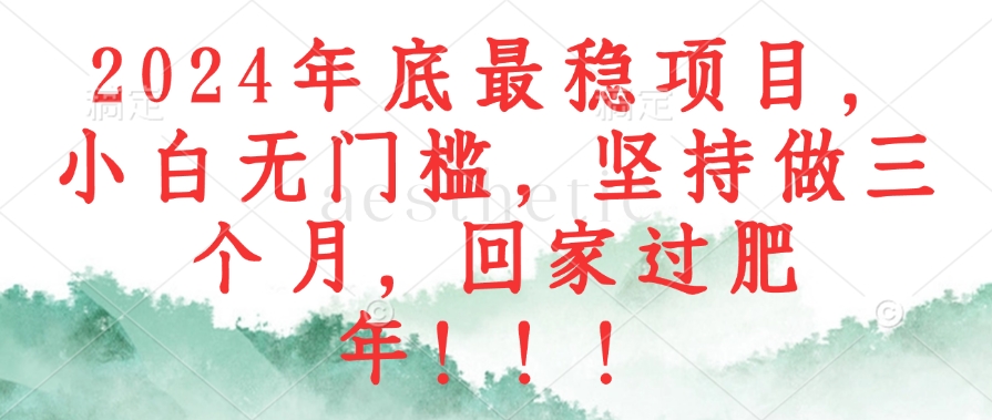 2024年底最稳项目，小白无门槛，坚持做三个月，回家过肥年！！！-萤火网创