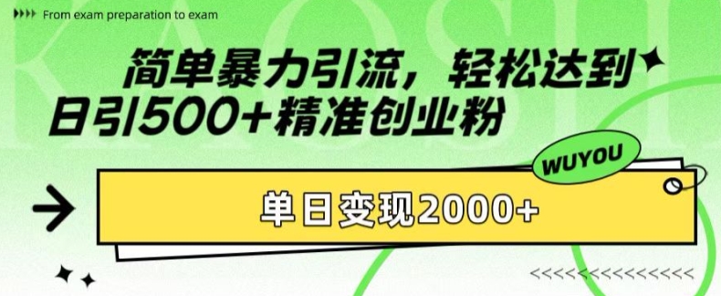 简单暴力引流，轻松达到日引500+精准创业粉，单日变现2k【揭秘】-萤火网创