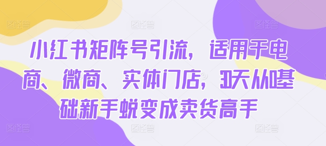 小红书矩阵号引流，适用于电商、微商、实体门店，30天从0基础新手蜕变成卖货高手-萤火网创
