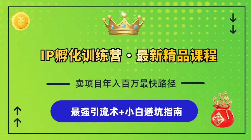 IP孵化训练营，知识付费全流程+最强引流术+小白避坑指南-萤火网创