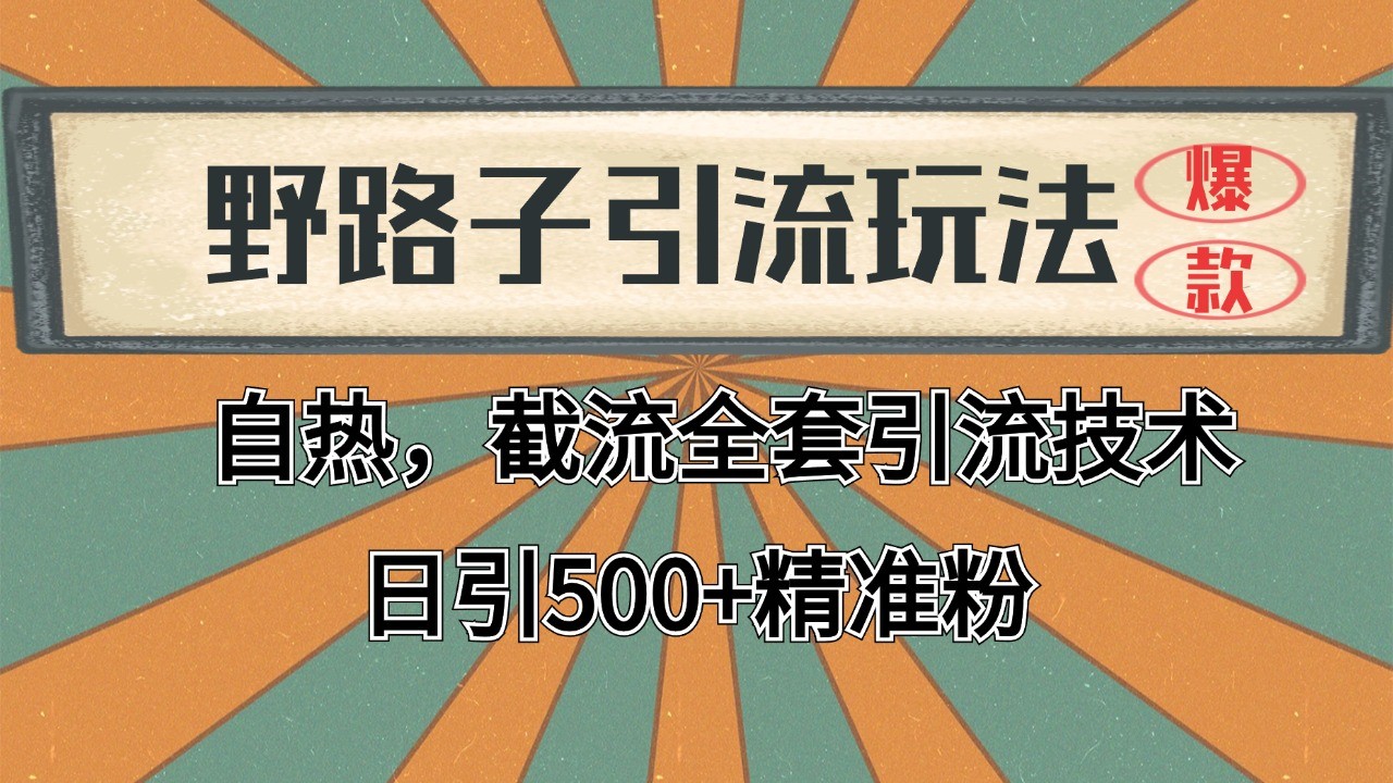 抖音小红书视频号全平台引流打法，全自动引流日引2000+精准客户-萤火网创