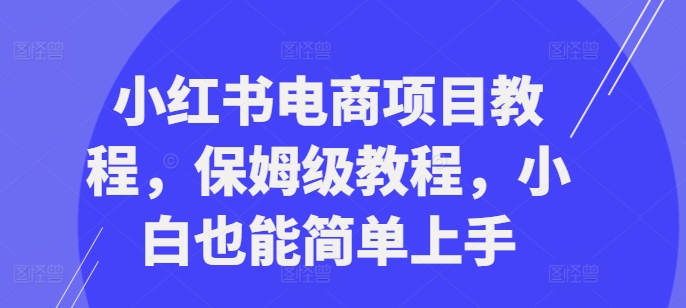 小红书电商项目教程，保姆级教程，小白也能简单上手-萤火网创