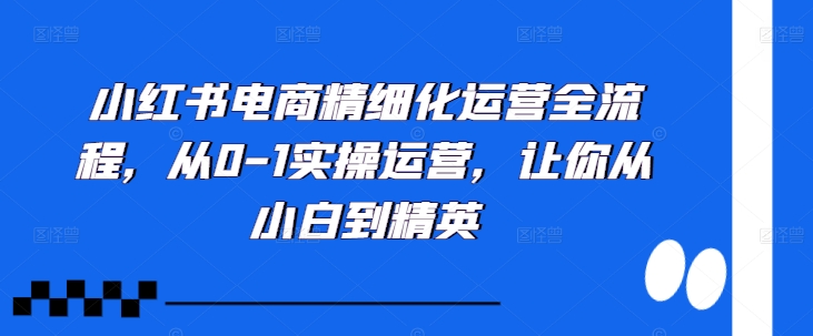 小红书电商精细化运营全流程，从0-1实操运营，让你从小白到精英-萤火网创