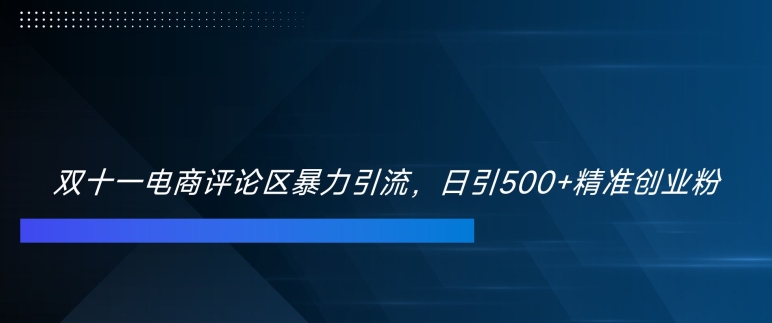 双十一电商评论区暴力引流，日引500+精准创业粉【揭秘】-萤火网创