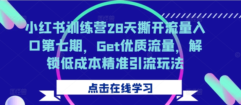 小红书训练营28天撕开流量入口第七期，Get优质流量，解锁低成本精准引流玩法-萤火网创