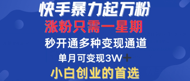 快手暴力起万粉，涨粉只需一星期，多种变现模式，直接秒开万合，单月变现过W【揭秘】-萤火网创